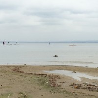 Stand-Up-Paddling-Bodensee